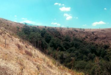 Il cono vulcanico di Monte Mojo